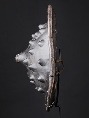 Shield 5285sv.jpg